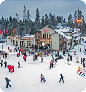 Ледовый дворец рядом с всесезонным курортом